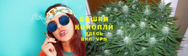 прущие грибы Армянск