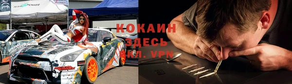 прущие грибы Армянск