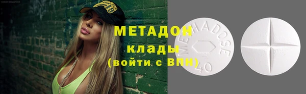 прущие грибы Армянск