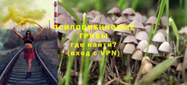 прущие грибы Армянск