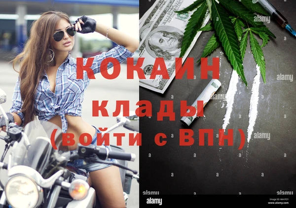 прущие крисы Аркадак