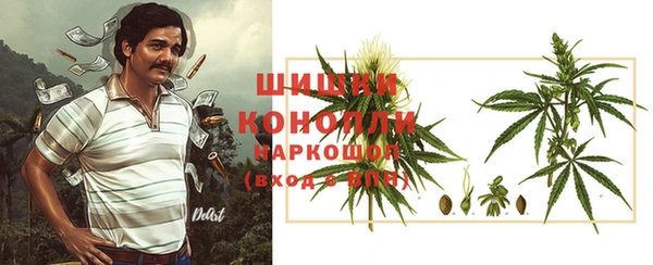 прущие грибы Армянск